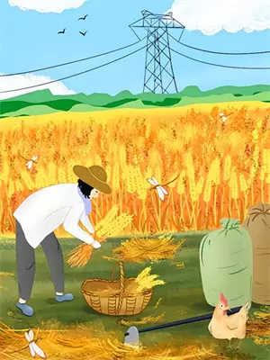 表妹不欲攀高枝明姝晏巍结局+番外+完结